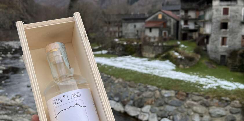 Dalle Erbe al Gin… Gin’Land