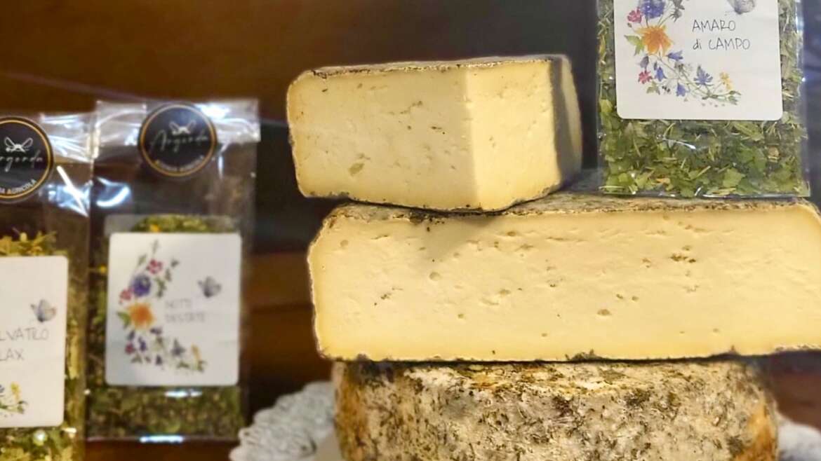 Erbe che insaporiscono la Toma