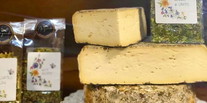 Erbe che insaporiscono la Toma