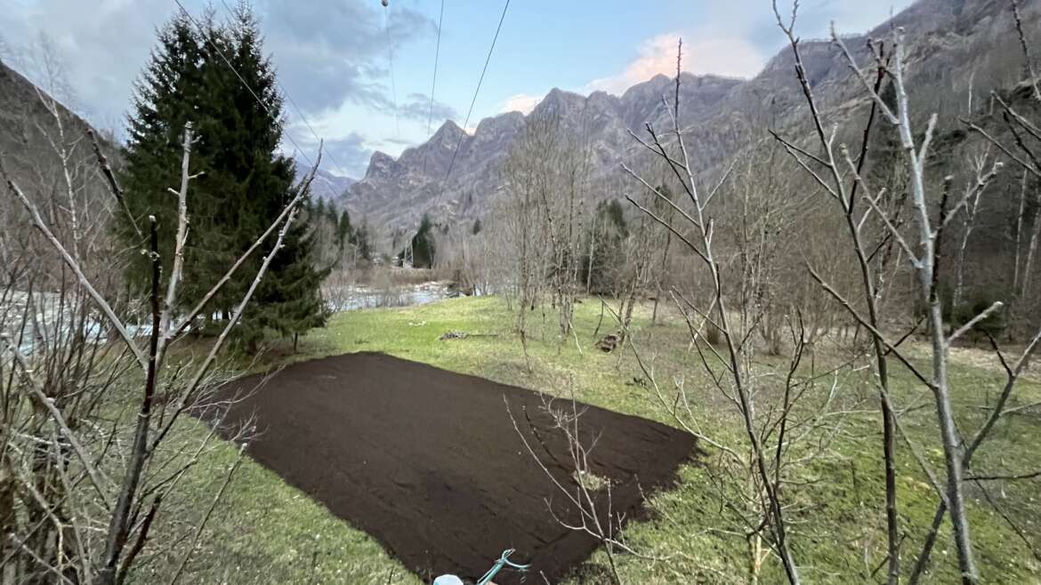 Il nostro Bertolini 310S