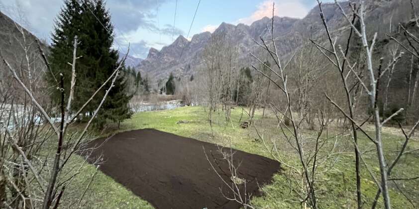 Il nostro Bertolini 310S