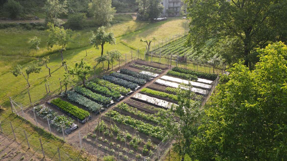 I Nuovi Campi di Argorda: nuove radici per un progetto in costante crescita