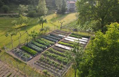 Gli ortaggi di Argorda