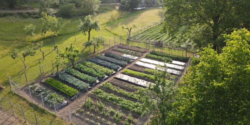 I Nuovi Campi di Argorda: nuove radici per un progetto in costante crescita